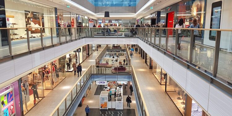 Learning Basic Skills – Shopping For Beginners