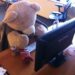 How Computer Support Services Can Help You