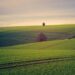 Land Investment in a Recession