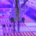 Transforming Industries with Cutting-Edge Automation Solutions