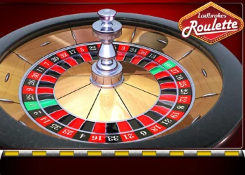 Ethereum roulette game user interface’s detailed overview